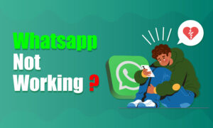 whatsapp not working