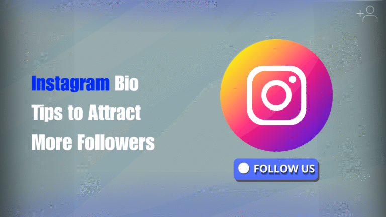 Instagram Bio Tips to Attract More Followers