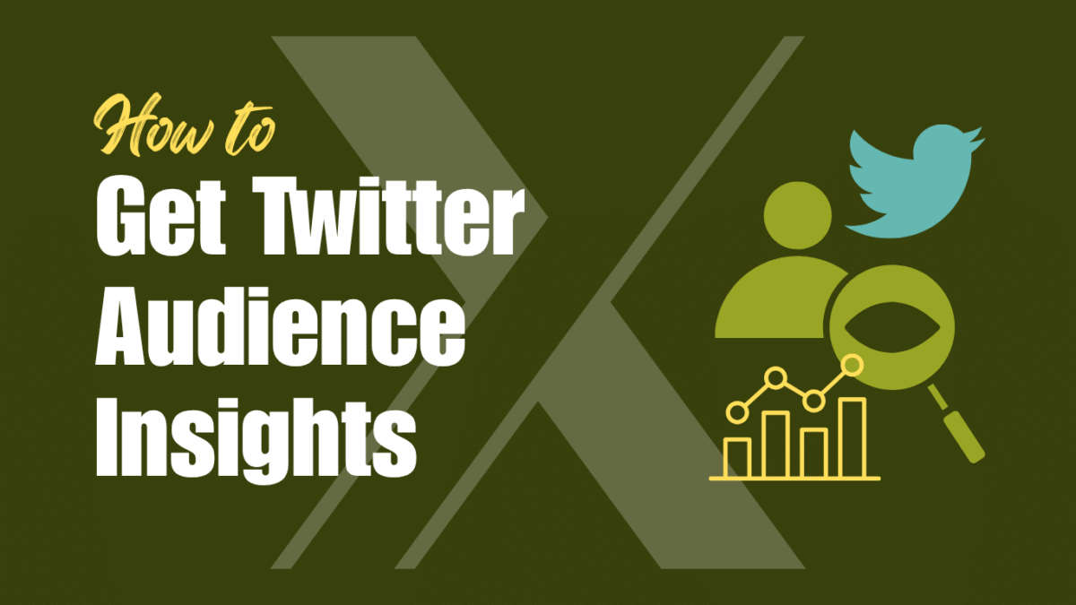 How to Get Advanced Twitter Audience Insights (3 Easy Steps)