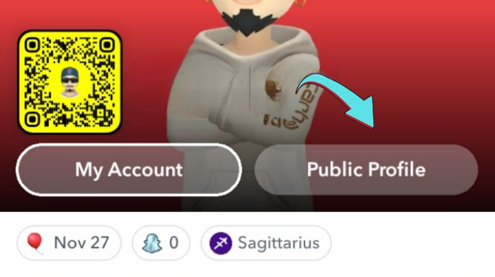 Snapchat Public Profile 3