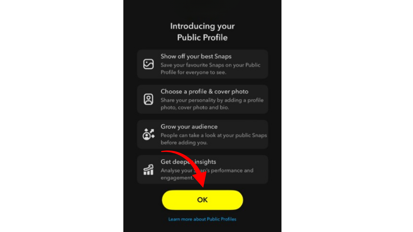 Snapchat Public Profile 4