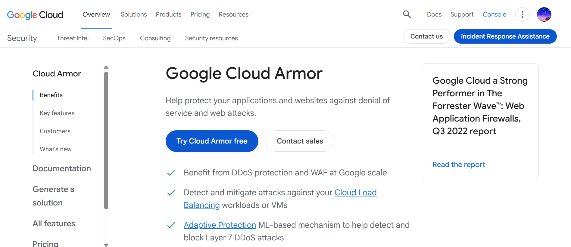 Cloud security layer filtering malicious web traffic and enforcing access control policies for applications hosted on global infrastructure.