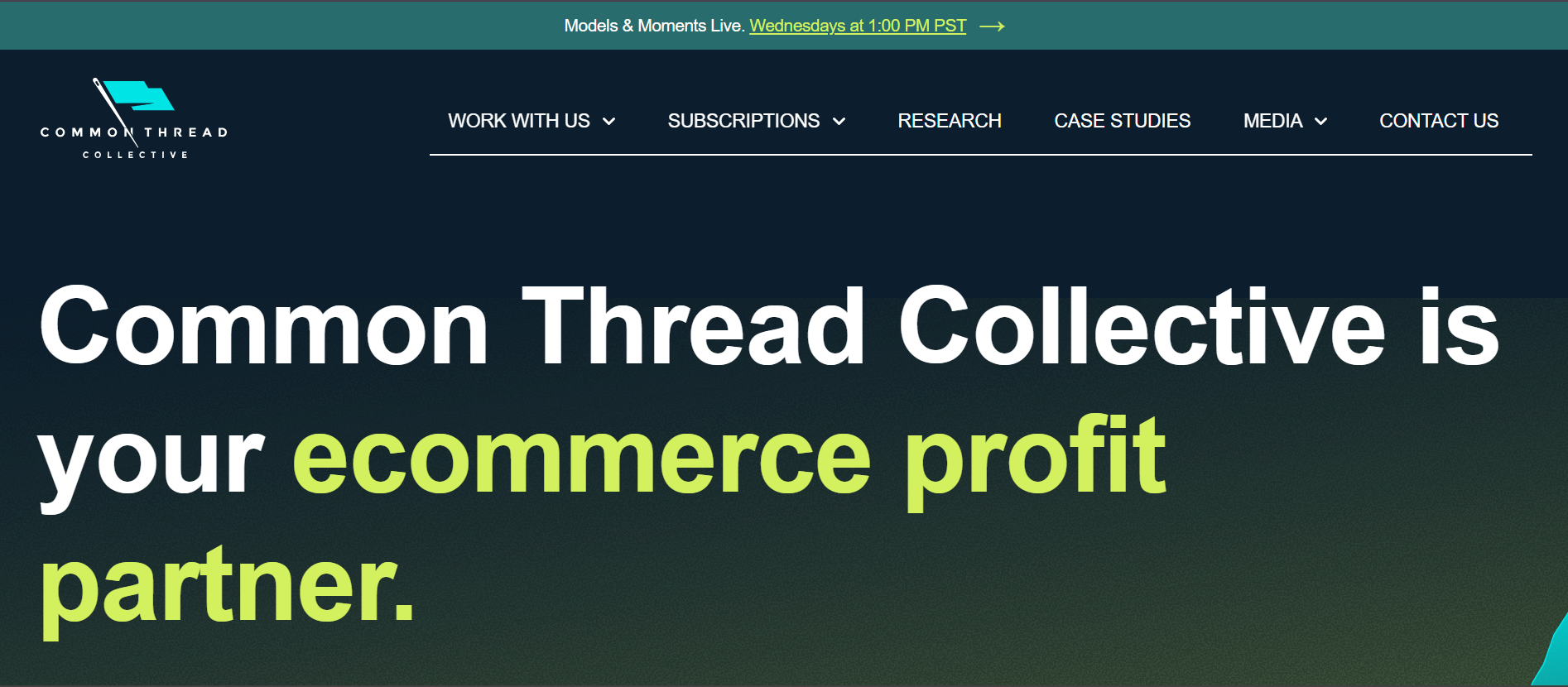 Ecommerce growth agency